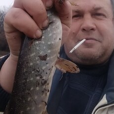 Вова, 52, Нерехта