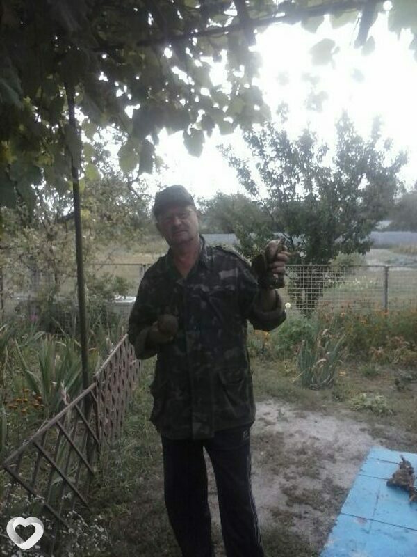 Главное фото