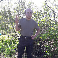 Толя, 43, Вельск