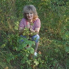 Галя, 59, Старый Крым