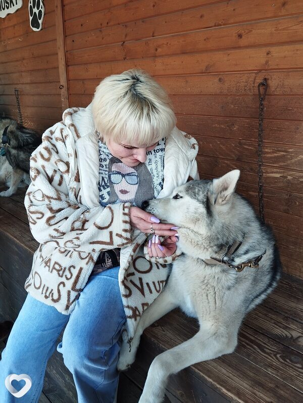 Главное фото