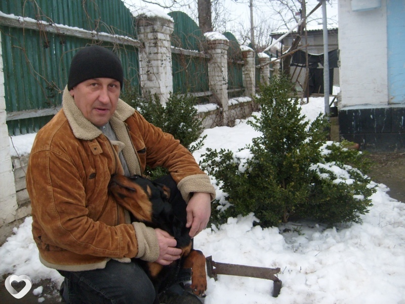 Главное фото