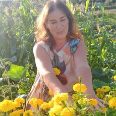 Ирина, 55, Ядрин