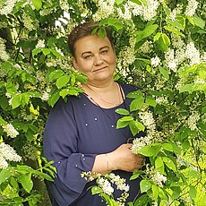 Поля, 54, Сергиев Посад