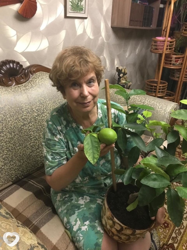 Главное фото