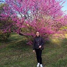 Доминика, 40, Волгоград