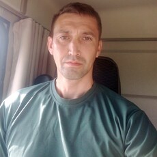 Свят, 37, Мураши