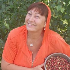 Люба, 56, Тотьма