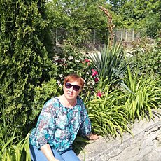 Снежа, 64, Новосиль