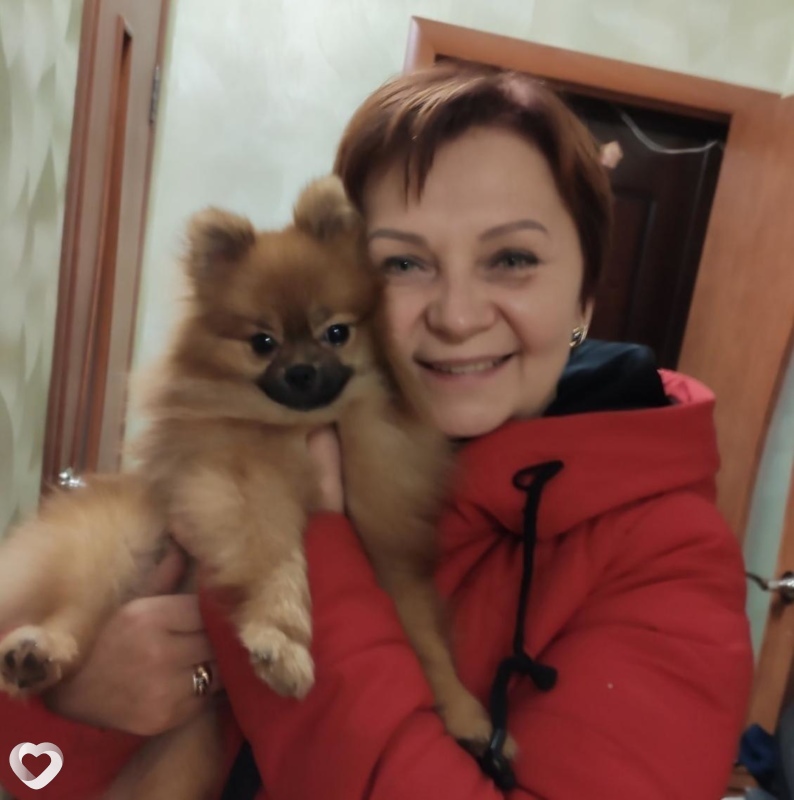 Главное фото