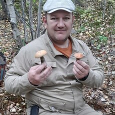 Лев, 46, Приозерск