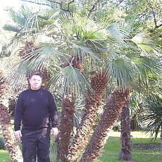 Лукас, 57, Фокино (Приморский край)