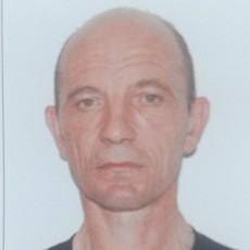 Мирослав, 47, Домодедово