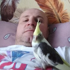 Илюха, 42, Бирск
