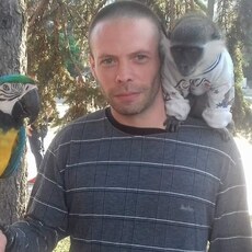 Ринат, 39, Кировск (Мурманская область)