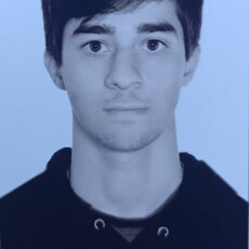 Аркаша, 22, Сольцы