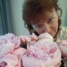 Тамара, 58, Семёнов