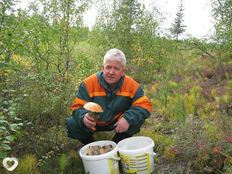 Главное фото