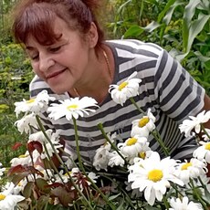 Полина, 63, Светлогорск