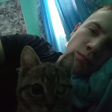 Роман, 19, Ковдор