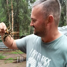 Степан, 42, Озёрск (Челябинская область)
