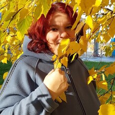 Ярослава, 43, Велиж