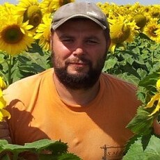 Коля, 46, Искитим