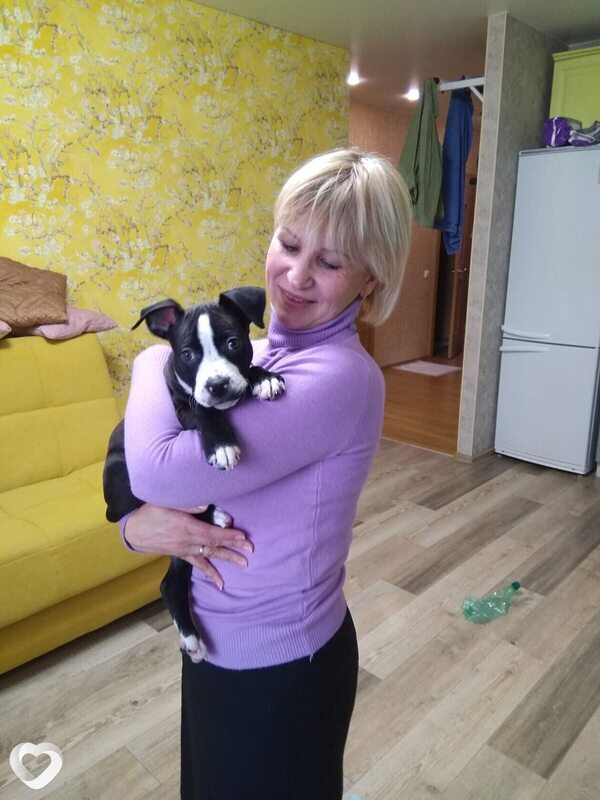 Главное фото