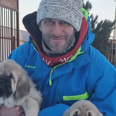 Виссарион, 40, Бор