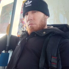 Свят, 39, Сокол