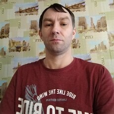 Станислав, 45, Добрянка