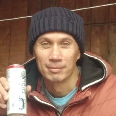 Артём, 43, Каргополь