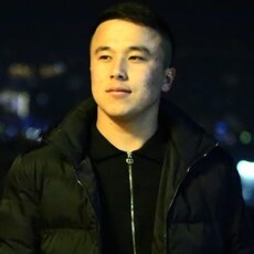Радомир, 27, Апрелевка