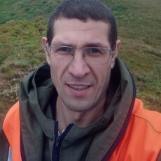 Эмиль, 40, Кировск (Мурманская область)