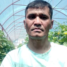Давид, 52, Михайловск (Свердловская область)