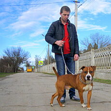 Семён, 36, Армавир