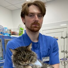 Веня, 24, Десногорск