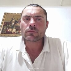 Андрей, 38, Старая Русса