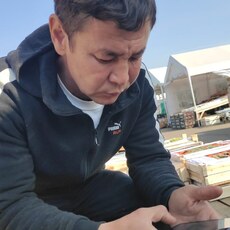 Гоша, 36, Салехард