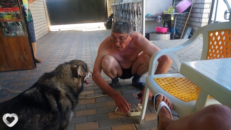 Главное фото