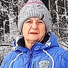 София, 66, Стародуб