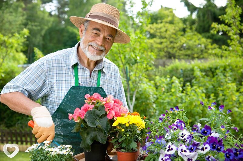 Главное фото