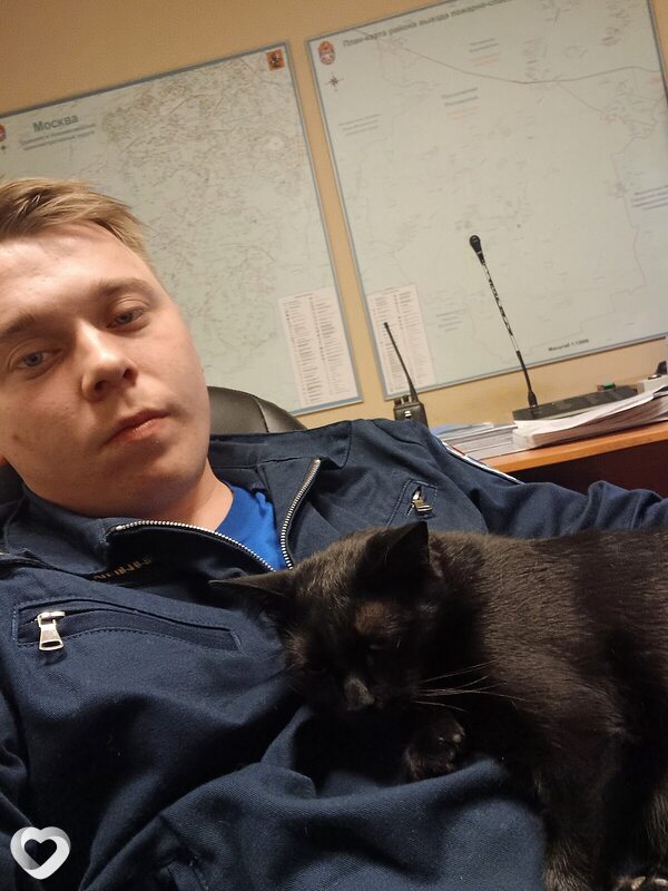 Главное фото