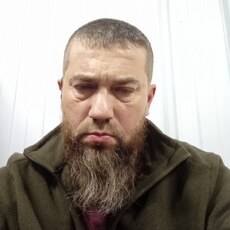 Альберт, 49, Ветлуга