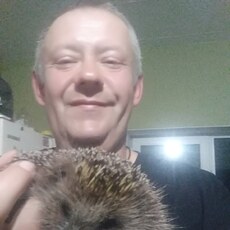 Афаня, 52, Луга