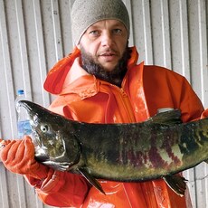 Ринат, 35, Электрогорск