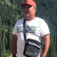 Коля, 35, Нелидово