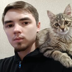 Лев, 28, Аксай