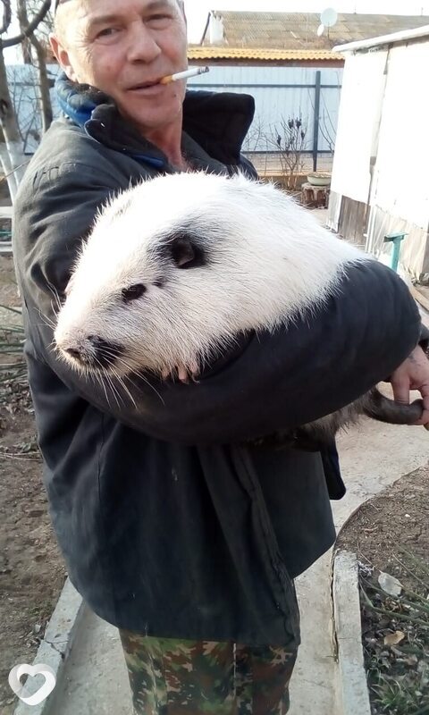 Главное фото