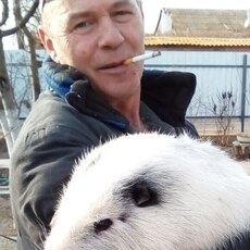 Веня, 60, Тольятти